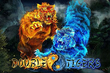 Double tigers